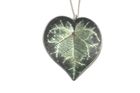 Cyclamen leaf necklace by Photofinish Jewellery
